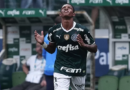 Danilo mantém 100% após convocação para seleção, e Palmeiras vence o Bragantino no Allianz